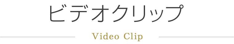 ビデオクリップ